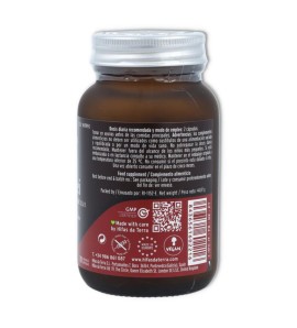 Mico-Rei 641 mg 70 cap Hifas da Terra 