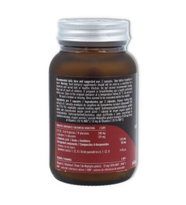 Mico-Rei 641 mg 70 cap Hifas da Terra 