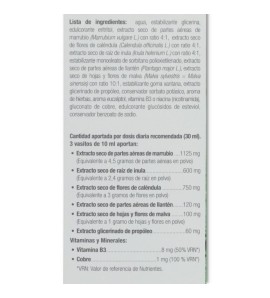 Protecsapin Fumadores 250 ml Natysal