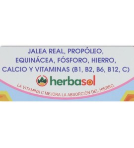 Jalea Real Junior 21 ampollas Herbasol