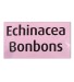 Caramelos Echinacea Bonbons 75 gr Vogel