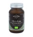 Hifas da Terra Mico-Leo 70 cap 