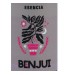 Ritual Esencia Benjui 10 ml Trinidad