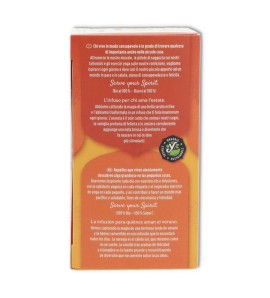 TE JENGIBRE NARANJA Y VANILLA 17 filtr Yogi