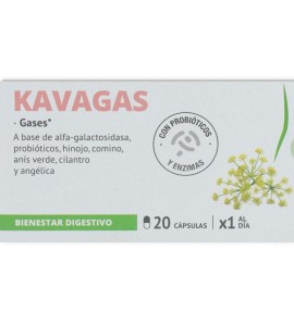 Kavagas 20 capsulas Santiveri